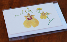 sample cultivated orchid gift card